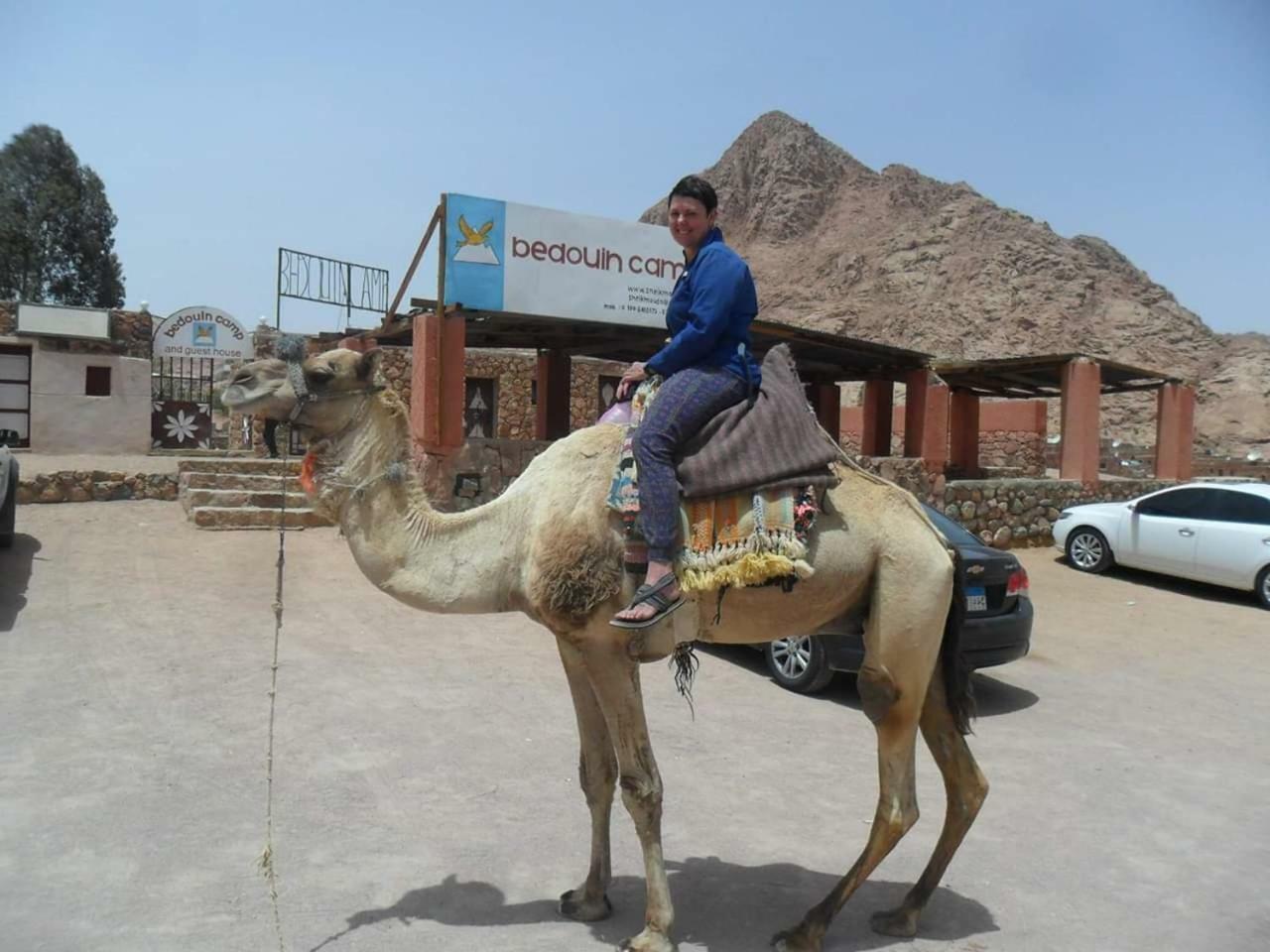 Sheikh Mousa Bedouin Camp Saint Catherine Exterior foto